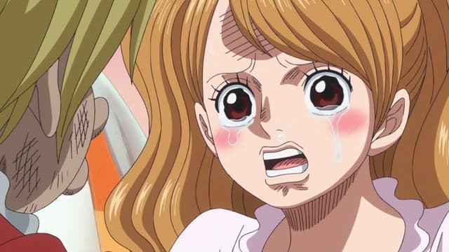Das Ende des Abenteuers! – Sanji entschlossener Heiratsantrag!