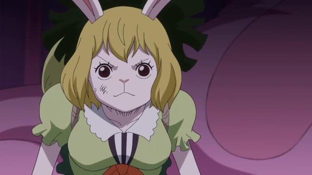 Big Mom wälzt sich im Schlaf! – Die Brook-Rettungsaktion!