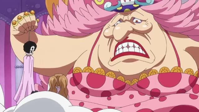 Die endgültige Entscheidung! – Sanji und sein Strohhut-Picknickkorb!