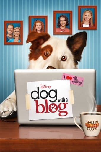 Hund mit Blog Stream Deutsch
